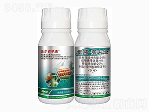 24%����ݬȥ��-�𠖰���ͨ-���r(n��ng)��