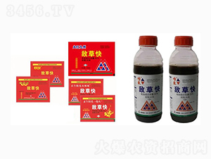 20%���ݿ�ˮ��-��t����-�����(y��ng)��