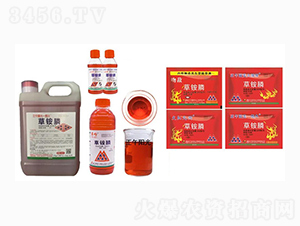 20%���@�-�����(y��ng)��һ�ڻ�