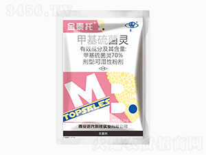 70%�׻�����`-��̩��-�����Ƽ�