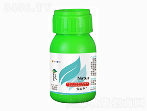 50ml���Ă�-��Ȼ��