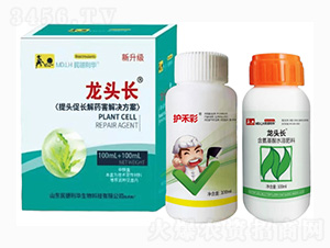 ���^���L��ˎ����Q����-���^�L-������A