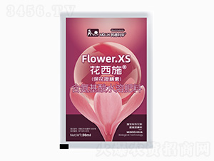 �����ھ���-����ʩ-������A