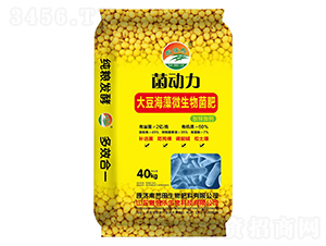 �󶹺���΢�������-������-���혷