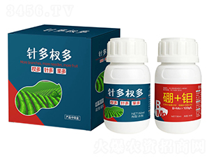 ᘶ�辶�-������