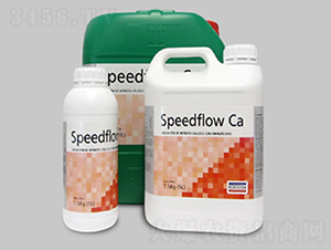 SPEEDFLOW Ca ���z�}-�~��˹��
