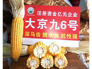 �󾩾�6̖-���׷N��-�󾩾ŷN�I(y��)