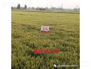 ��(l��)��808-С���N��-��(r��n)�r(n��ng)�N�I(y��)