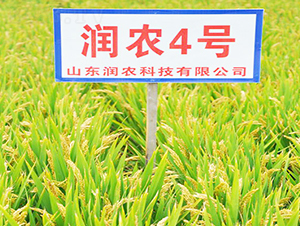 ���r(n��ng)4̖-ˮ���N��-���r(n��ng)�N�I(y��)