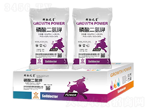 �������⛣��䣩-����֮��-��������