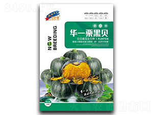 �Aһ����ؐ-�ϹϷN��-�Aһ�N�I(y��)