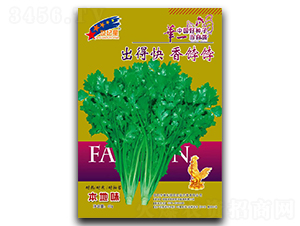 ���ÿ����G�G-��˷N��-�Aһ�N�I(y��)