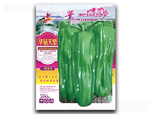 �A�@��q-�����N��-�Aһ�N�I(y��)