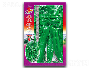 �A�@������һ̖-�����N��-�Aһ�N�I(y��)