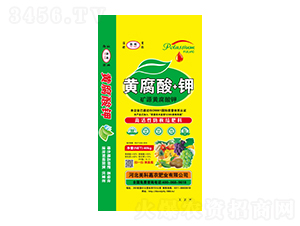 �VԴ�S�����-�|���S