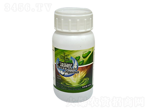 �˄�(d��ng)������-�꾧��