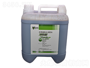 �_ʩ�V��-�꾧��