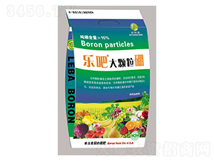 1000g���ɴ��w���𣨷ۄ���-��ꖉ�