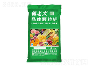 ���w�w���-���컯