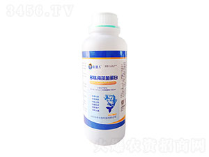 ���ĺ����~����-��̩����