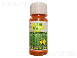 20ml絲瓜鮮花王-漢奇化工
