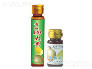 ��������-�h�滯��