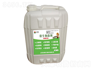 ΢�������-�����-��΢��