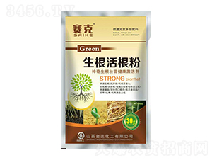 ���������-ِ��-�_�_(d��)�ʘI(y��)