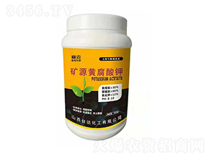 �VԴ�S�����-ِ��-�_�_�ʘI(y��)