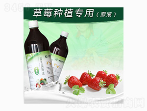 ����ݮ�Nֲ����������ԭҺ-�G������