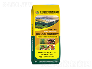 ������Ƭ�۾�Ʒ�S�����-���d�Ƽ�