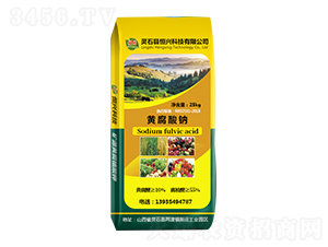 �S�����c-���d�Ƽ�