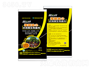 ΢�������-����(j��)��2̖(h��o)-���~�ɷ�