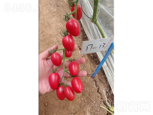 ���ҷ���233-���ѷN��-��(y��u)�Π�����