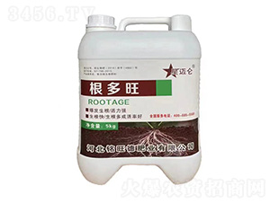 ������-���~��-����·ʘI(y��)