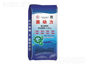 ������΢�������-��ʯ�R