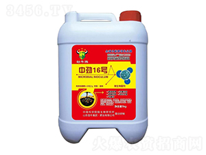 中勁16號微生物菌劑-勁牛
