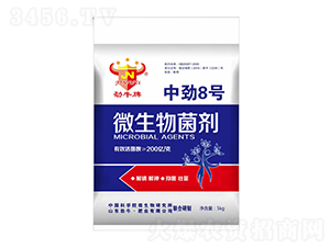中勁8號(hào)微生物菌劑-勁牛