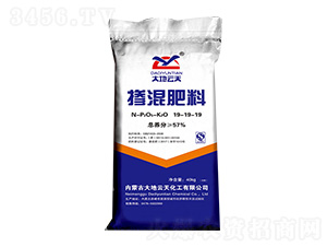 �������19-19-19-�������