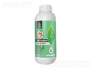 �������Ǵ����}�V-������