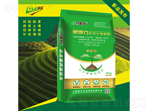 ���V�������-�ʵ���-�G��(l��)����