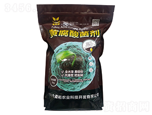 �S����_��-������