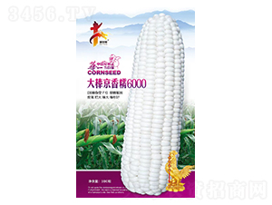 �������Ŵ6000-���׷N��-�Aһ�N�I(y��)