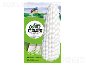 ��������-���׷N��-�Aһ�N�I(y��)