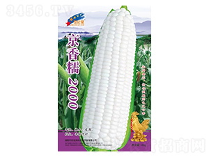 ����Ŵ2000-���׷N��-�Aһ�N�I(y��)