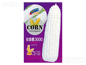 ����Ŵ3000������ͣ�-���׷N��-�Aһ�N�I(y��)