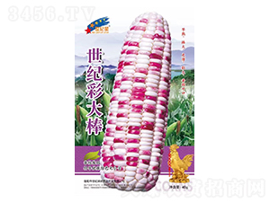 ���o(j��)�ʴ��-���׷N��-�Aһ�N�I(y��)