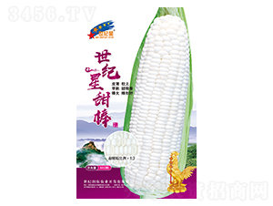 ���o(j��)�����-���׷N��-�Aһ�N�I(y��)