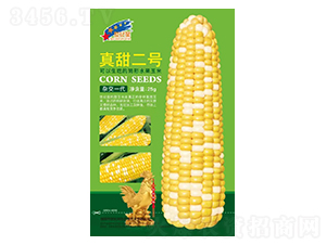 �����̖(h��o)-���׷N��-�Aһ�N�I(y��)