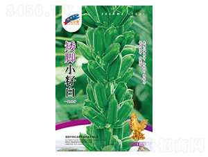 ���_С�Ѱף�һ��ԭ�N��-֥��N��-�Aһ�N�I(y��)